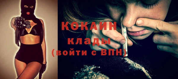 не бодяженный Бородино