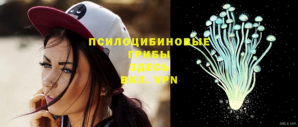 не бодяженный Бородино
