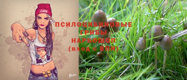 Альфа ПВП Бронницы