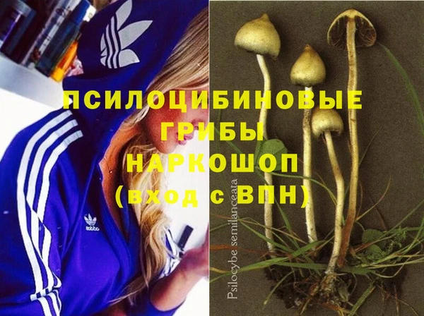 Альфа ПВП Бронницы