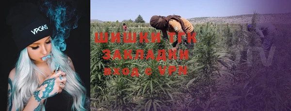 не бодяженный Бородино