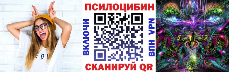 Псилоцибиновые грибы Psilocybine cubensis omg сайт Медынь